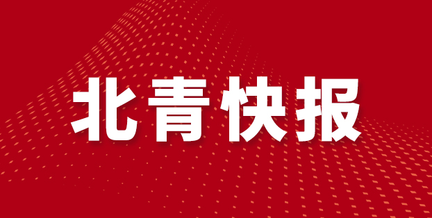 色鲜明, 的活力充分